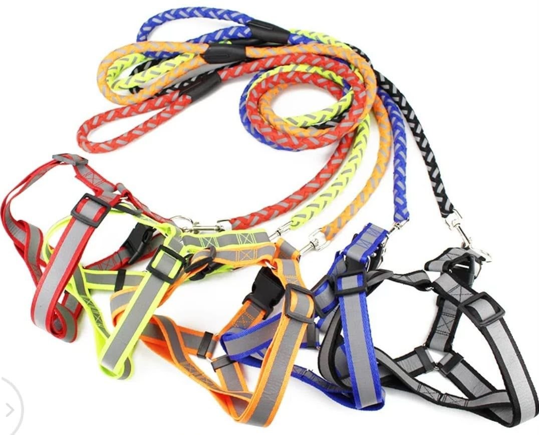 Dog Leash and Harness (Reflector)