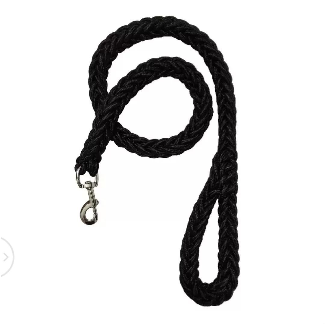 Big Leash