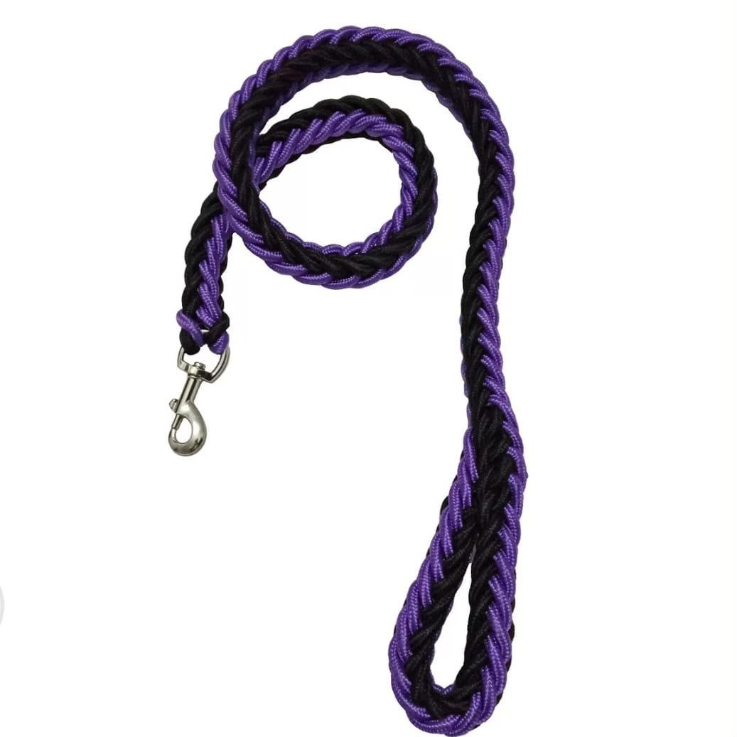 Big Leash